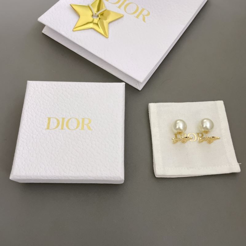 Christian Dior Earrings